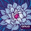 http://s.mxmcdn.net/images-storage/albums8/2/2/1/3/6/4/13463122.jpg