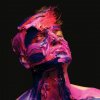 Fyfe - Album Holding On