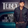 Tebey - Album When the Buzz Wears Off