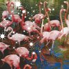 http://s.mxmcdn.net/images-storage/albums8/2/5/2/7/9/5/11597252.jpg