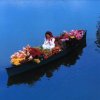 http://s.mxmcdn.net/images-storage/albums8/2/5/8/4/9/9/11994852.jpg