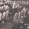 Göksel Baktagir - Album Furtuna