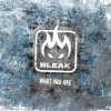 Bleak - Album What You Are