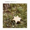 THE BOOM - Album 星のラブレター