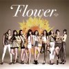 Flower - Album 太陽と向日葵
