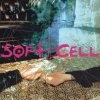 http://s.mxmcdn.net/images-storage/albums8/3/2/2/6/0/6/11606223.jpg