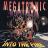 Sarah McLachlan - Album Into the Fire