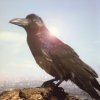 http://s.mxmcdn.net/images-storage/albums8/3/5/6/5/7/3/26375653.jpg