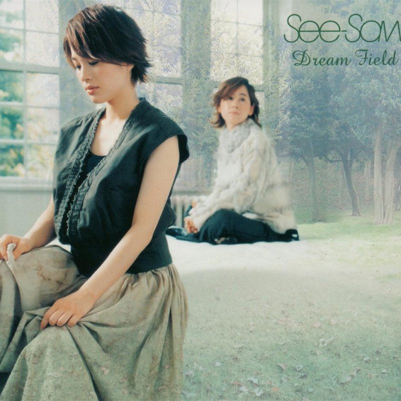 Dream Field See-Saw