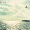 スピッツ - Album 君は太陽