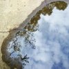 http://s.mxmcdn.net/images-storage/albums8/3/8/8/5/7/3/26375883.jpg