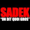 Sadek - Album On dit quoi gros