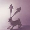 Yuki - Album 66db
