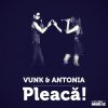 Vunk & Antonia - Album Pleaca