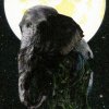 http://s.mxmcdn.net/images-storage/albums8/4/6/0/0/4/3/26340064.jpg