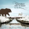 Lily Allen - Album Somewhere Only We Know
