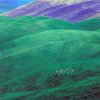 BUMP OF CHICKEN - Album Happy