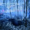 Apocalyptica - Album Life Burns!