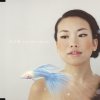 orange pekoe - Album 空の庭