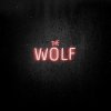 Mumford & Sons - Album The Wolf