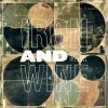 Iron & Wine - Album Around The Well