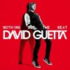 David Guetta - Album Nothing But The Beat [Bonus Commentary]