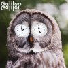 Galileo Galilei - Album さよならフロンティア