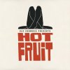 Gaz Coombes - Album Hot Fruit