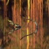 http://s.mxmcdn.net/images-storage/albums8/6/0/7/7/9/8/11897706.jpg