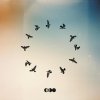 Half Moon Run - Album Full Circle
