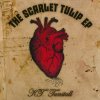 KT Tunstall - Album The Scarlet Tulip