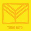 Yeah Yeah Yeahs - Album Turn Into