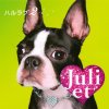 Juliet - Album ハルラブ2