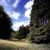 http://s.mxmcdn.net/images-storage/albums8/6/6/4/8/3/8/25838466.jpg