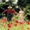 RADWIMPS - Album 有心論