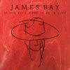 James Bay - Album If You Ever Want To Be In Love