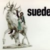 Suede - Album So Young