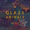 Glass Animals - Album Hazey