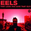 Eels - Album That Look You Give That Guy