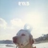 http://s.mxmcdn.net/images-storage/albums8/7/9/6/6/1/7/11716697.jpg