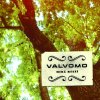 Valvomo - Album Mikä kesä? / Single