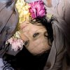 http://s.mxmcdn.net/images-storage/albums8/8/9/5/3/9/5/11593598.jpg