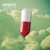 The Wombats - Album Anti-D