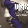 DMX - Album Slippin'