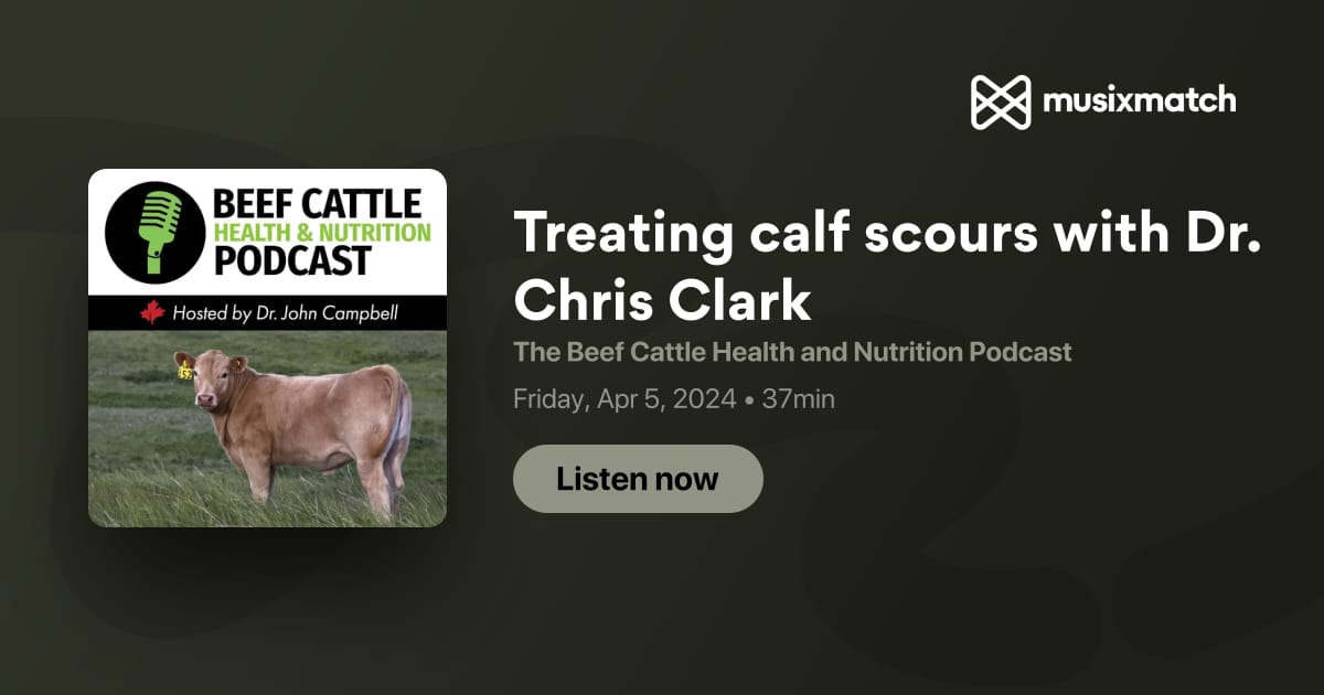 Treating calf scours with Dr. Chris Clark Transcript - The Beef Cattle ...