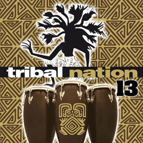 Tribal Nation 13