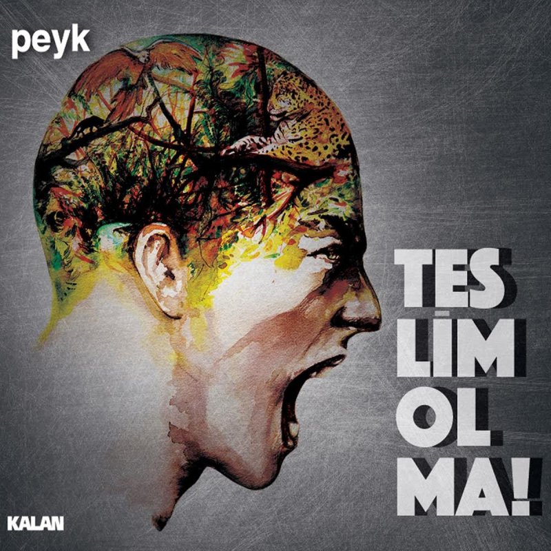 Peyk Bu Ben Lyrics Musixmatch