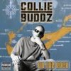 On the Rock Collie Buddz - cover art