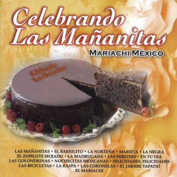Las Mananitas By Mariachi Mexico Album Lyrics Musixmatch Song Lyrics And Translations Las mananitas acompanadas con mariachi (album completo) 01. musixmatch