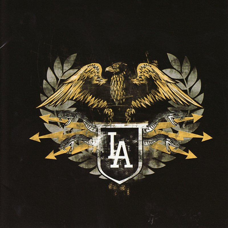 Internal affairs. Internal Affairs Division. Логотип Internal Affairs Bureau. Internal Affairs Division LAPD. Internal Affairs Division LSSD
